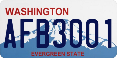 WA license plate AFB3001