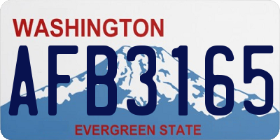 WA license plate AFB3165