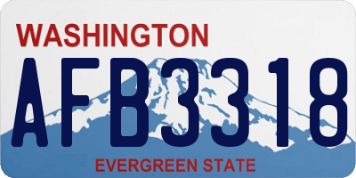 WA license plate AFB3318