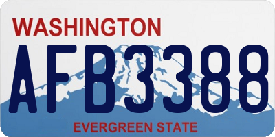 WA license plate AFB3388