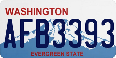 WA license plate AFB3393