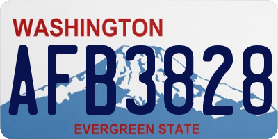 WA license plate AFB3828