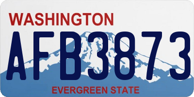WA license plate AFB3873