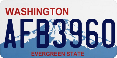 WA license plate AFB3960