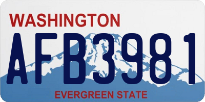 WA license plate AFB3981