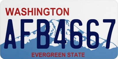 WA license plate AFB4667