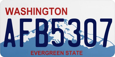 WA license plate AFB5307