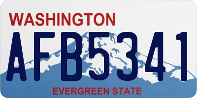 WA license plate AFB5341
