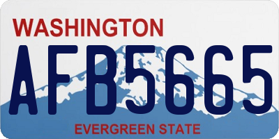 WA license plate AFB5665