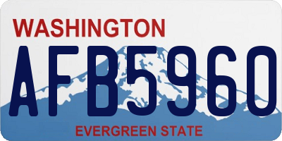 WA license plate AFB5960