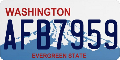 WA license plate AFB7959