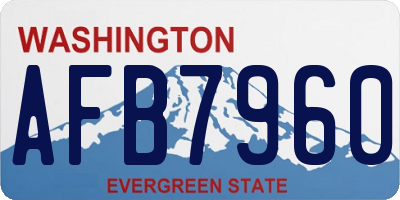 WA license plate AFB7960