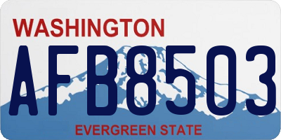 WA license plate AFB8503