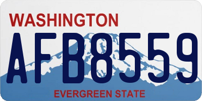 WA license plate AFB8559