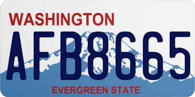 WA license plate AFB8665