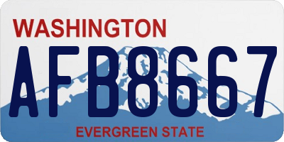 WA license plate AFB8667