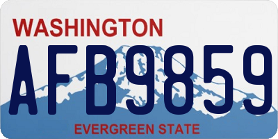 WA license plate AFB9859