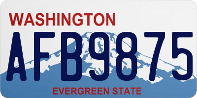 WA license plate AFB9875