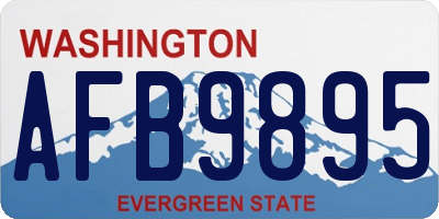WA license plate AFB9895