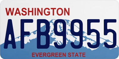 WA license plate AFB9955