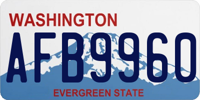 WA license plate AFB9960