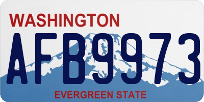 WA license plate AFB9973