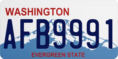 WA license plate AFB9991