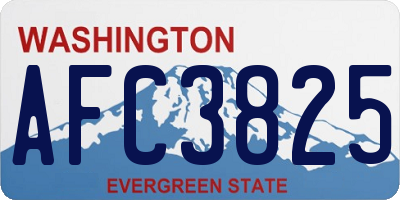 WA license plate AFC3825