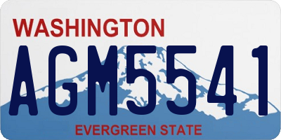 WA license plate AGM5541