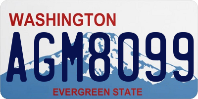 WA license plate AGM8099
