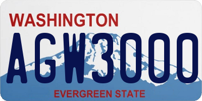 WA license plate AGW3000