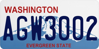 WA license plate AGW3002