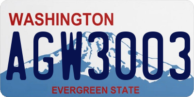 WA license plate AGW3003