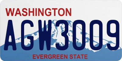 WA license plate AGW3009