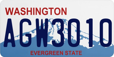 WA license plate AGW3010