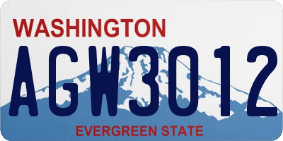WA license plate AGW3012