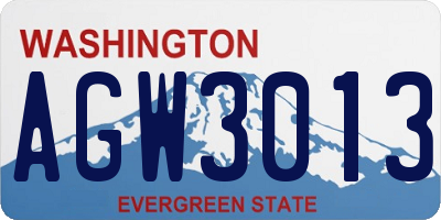 WA license plate AGW3013