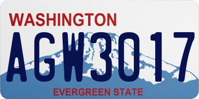 WA license plate AGW3017