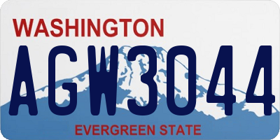 WA license plate AGW3044