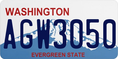 WA license plate AGW3050