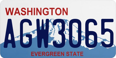 WA license plate AGW3065