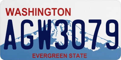 WA license plate AGW3079
