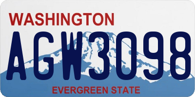 WA license plate AGW3098