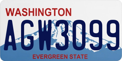 WA license plate AGW3099