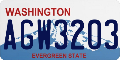 WA license plate AGW3203