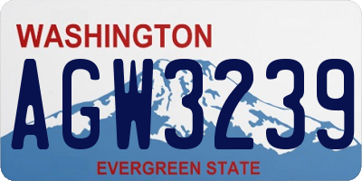 WA license plate AGW3239