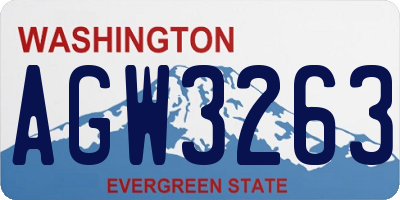 WA license plate AGW3263