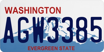 WA license plate AGW3385