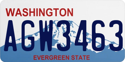 WA license plate AGW3463