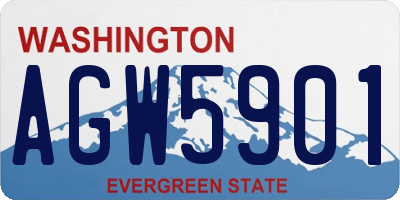 WA license plate AGW5901